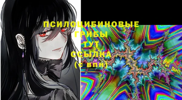 мескалин Каменногорск