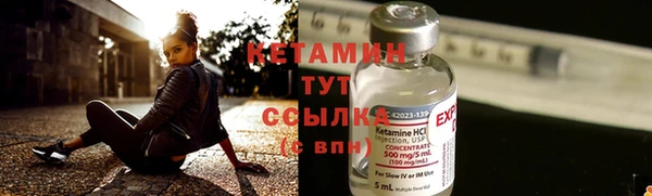 амф Каменка