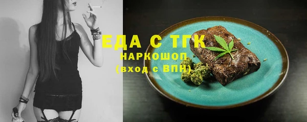 амф Каменка
