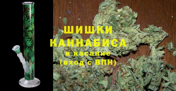 амф Каменка