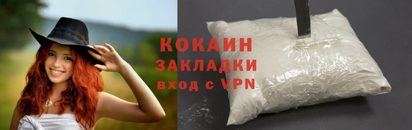 амф Каменка