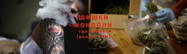 амф Каменка