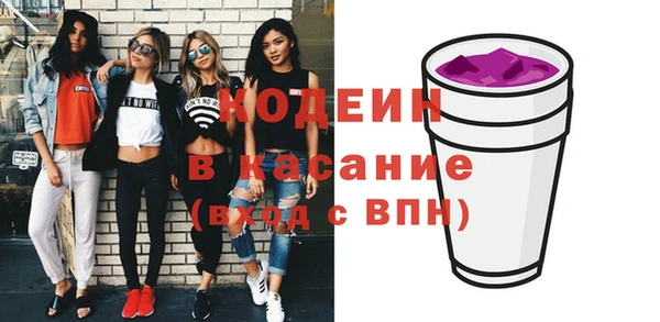 амф Каменка