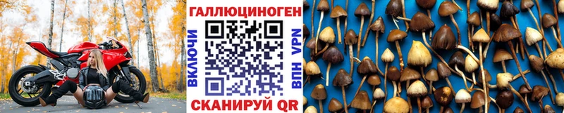 Галлюциногенные грибы GOLDEN TEACHER  цена   Первоуральск 